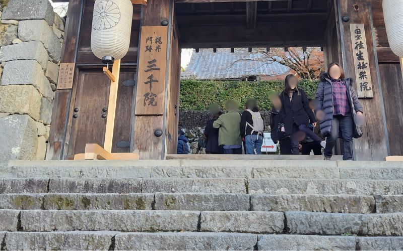 大原三千院の御殿門