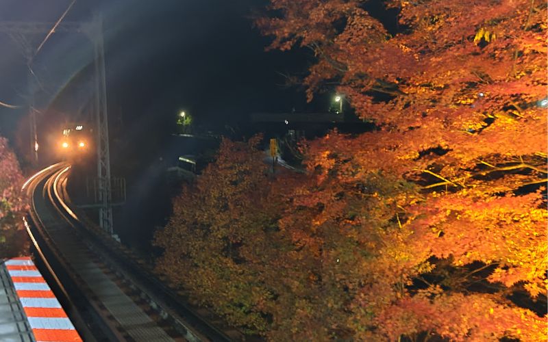 貴船口駅ホームの紅葉と叡山電車