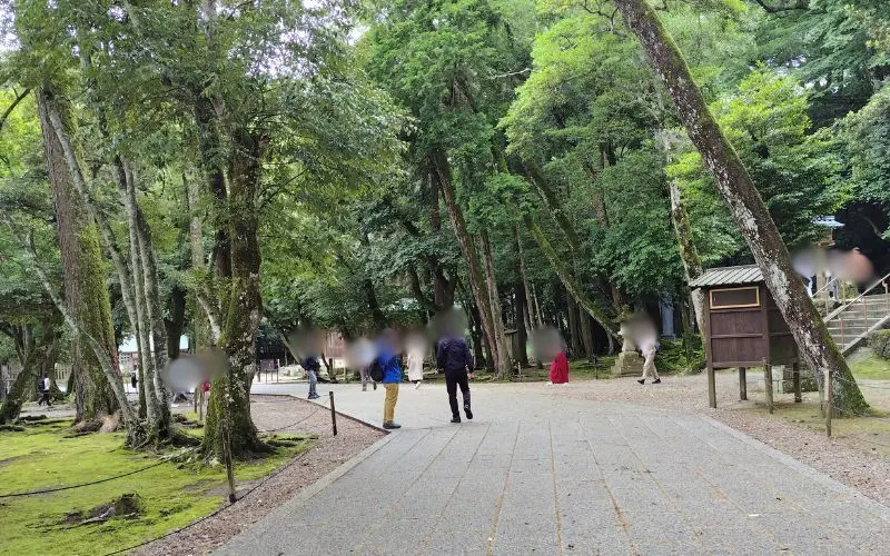 出雲大社の御本殿周辺に続く石畳