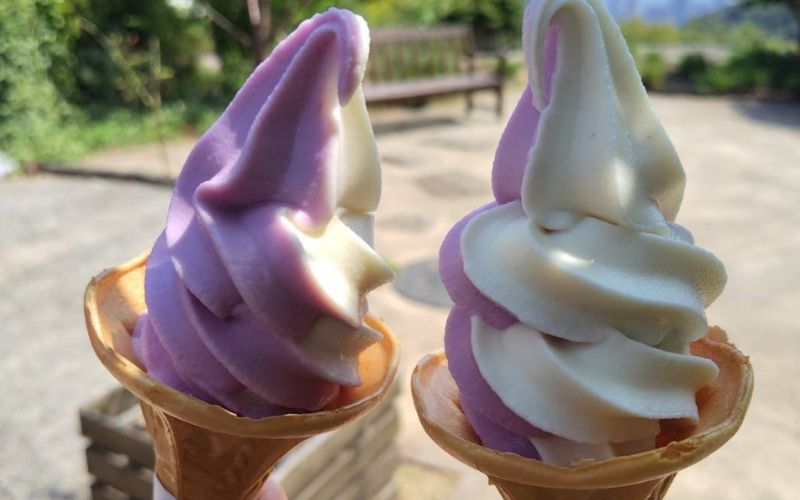 神戸布引ハーブ園・風の丘中間駅手前の売店で食べたラベンダーとバニラのミックスソフトクリーム