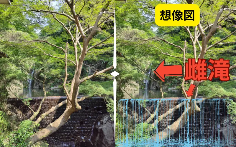実際の雌滝写真と想像していた雌滝の画像