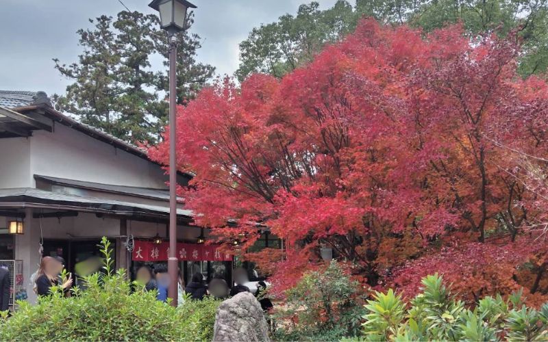 太宰府天満宮境内の大樟館と紅葉