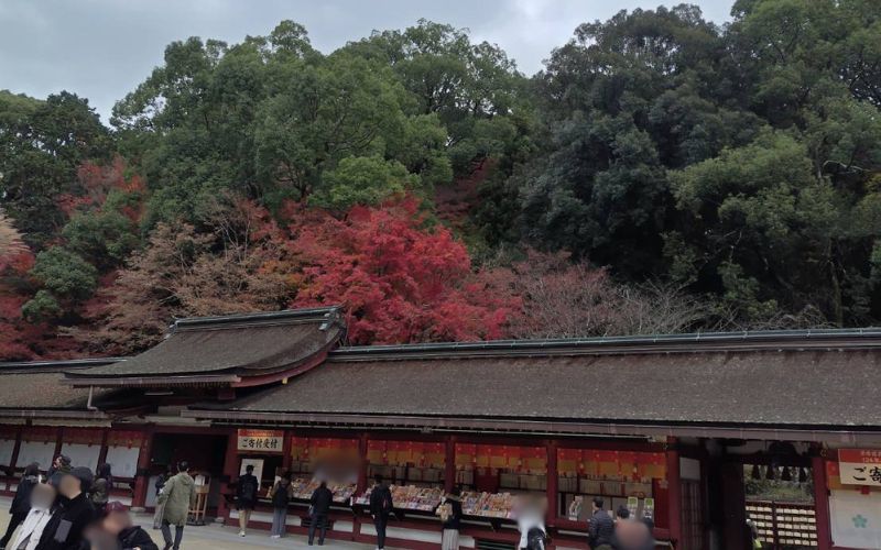 太宰府天満宮 朱色の社殿と紅葉
