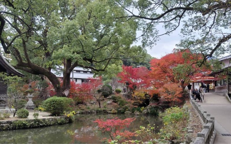 太宰府天満宮の境内の紅葉